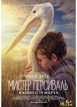 кино Мой друг Мистер Персиваль (Storm Boy) 13.05.21