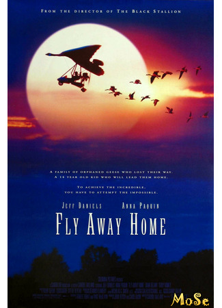 кино Летите домой (Fly Away Home) 15.05.21