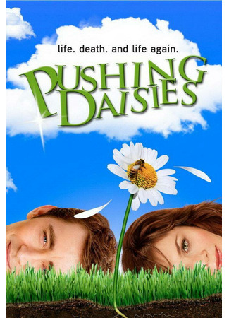 кино Мёртвые до востребования (Pushing Daisies) 26.08.21