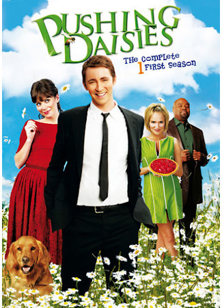 кино Pushing Daisies, season 2 (Мёртвые до востребования, 2-й сезон) 30.08.21