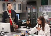 The Big Bang Theory, season 7