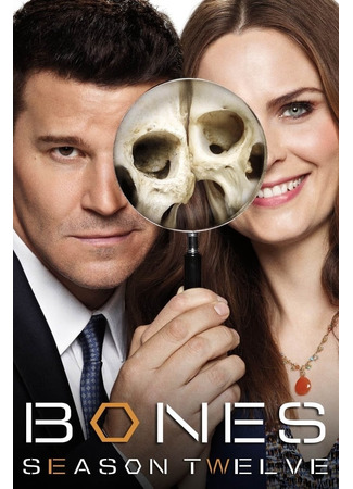 кино Bones, season 12 (Кости, 12-й сезон) 29.07.22