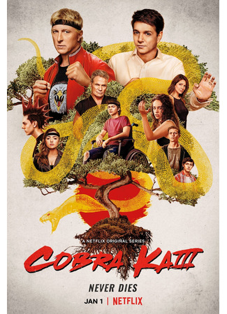 кино Кобра Кай (Cobra Kai) 17.08.22