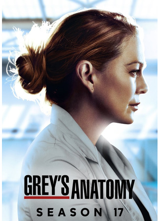 кино Grey&#39;s Anatomy, season 17 (Анатомия страсти, 17-й сезон) 22.09.22