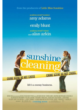 кино Чистка до блеска (Sunshine Cleaning) 28.10.22