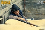 Железнодорожные тигры