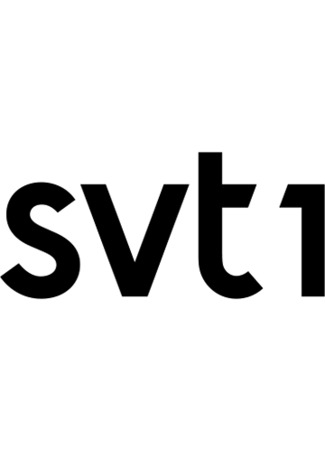 Производитель SVT1 07.04.24