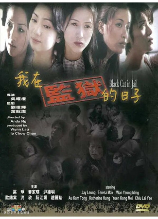 кино Чёрная кошка 3: В тюрьме (Ngo joi gam yuk dik yat ji) 27.04.24