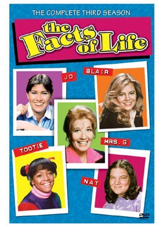 кино Факты из жизни (The Facts of Life) 24.05.24