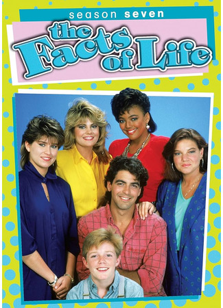 кино Факты из жизни (The Facts of Life) 24.05.24