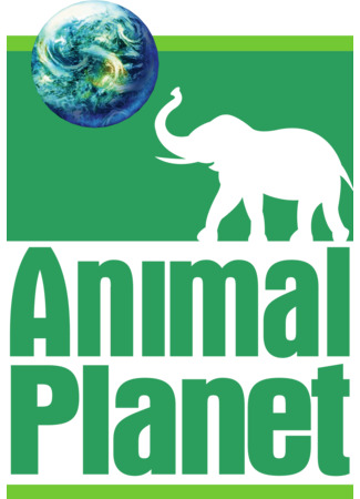 Производитель Animal Planet 11.07.24