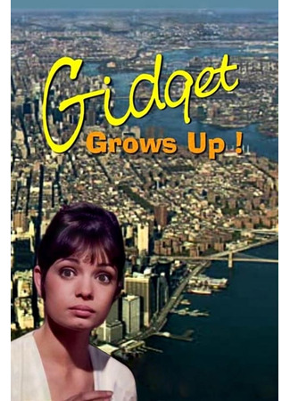 кино Гиджет взрослеет (Gidget Grows Up) 26.07.24