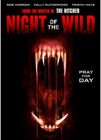 кино Дикая ночь (Night of the Wild) 31.07.24