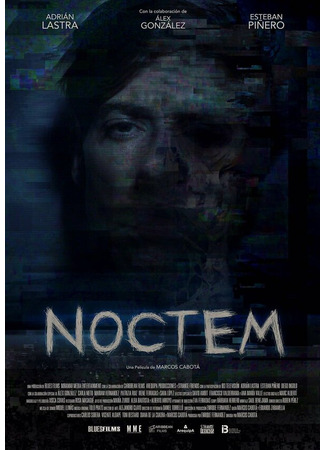 кино Noctem 31.07.24