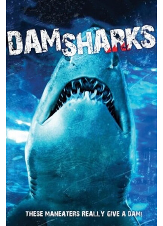 кино Акульи плотины (Dam Sharks) 31.07.24