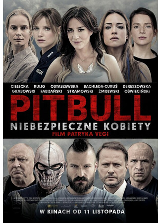 кино Питбуль. Опасные женщины (Pitbull. Niebezpieczne kobiety) 31.07.24