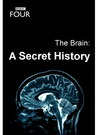 кино The Brain: A Secret History 31.07.24