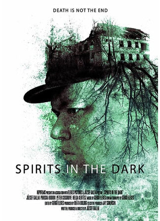 кино Spirits in the Dark 31.07.24