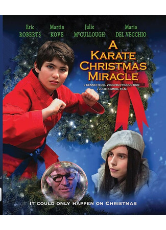 кино Рождественское чудо в стиле карате (A Karate Christmas Miracle) 31.07.24