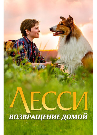 кино Лесси. Возвращение домой (Lassie - Eine abenteuerliche Reise) 31.07.24