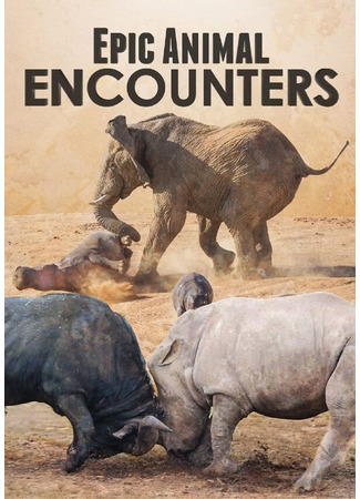 кино Epic Animal Encounters 31.07.24