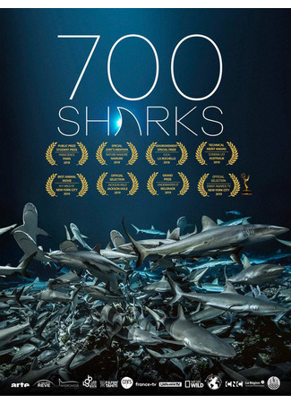 кино 700 акул (700 Sharks) 31.07.24