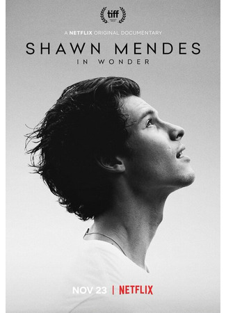 кино Шон Мендес: In Wonder (Shawn Mendes: In Wonder) 31.07.24