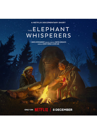 кино Заклинатели слонов (The Elephant Whisperers) 31.07.24