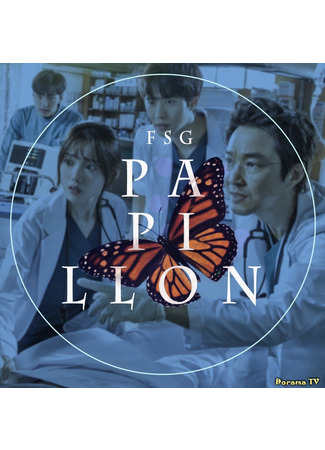 Переводчик FSG Papillon 16.09.24