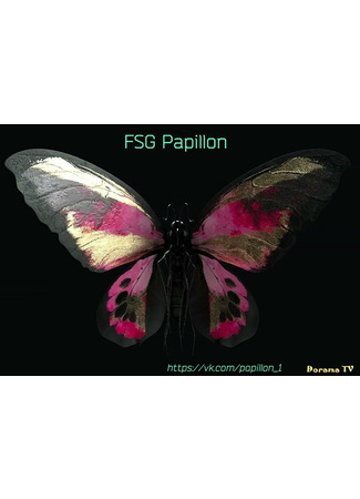 Переводчик FSG Papillon 16.09.24