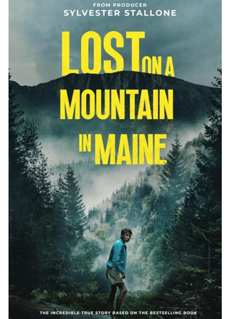 кино В плену стихии (Lost on a Mountain in Maine) 22.10.24