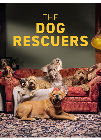 кино Спасение собак (The Dog Rescuers) 25.02.25